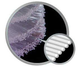Close up photo of end-rounded bristles of Vivatec